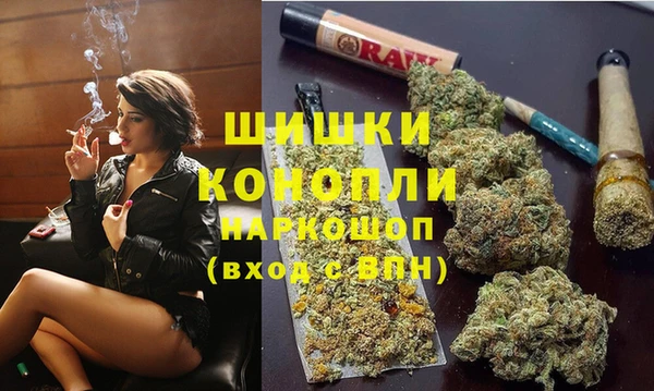 spice Алзамай