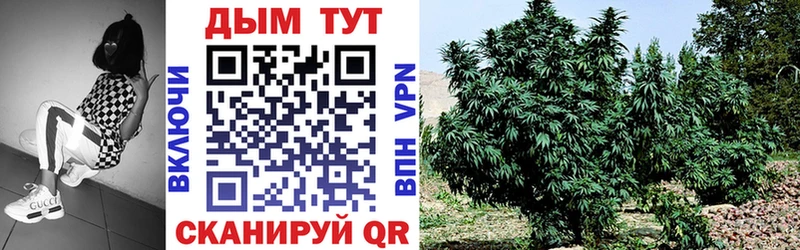 darknet формула Волоколамск Бошки Шишки White Widow